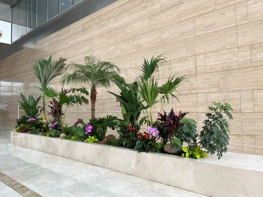 探秘慈溪植物租摆设计，解锁别样的室内外绿植风情